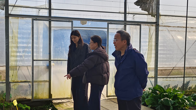 之豇種業(yè)開展春節(jié)前安全生產(chǎn)專項(xiàng)檢查