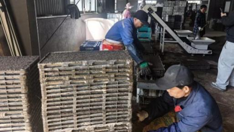 浙農(nóng)科技：緊抓農(nóng)時(shí)備春耕 多措并舉促豐收