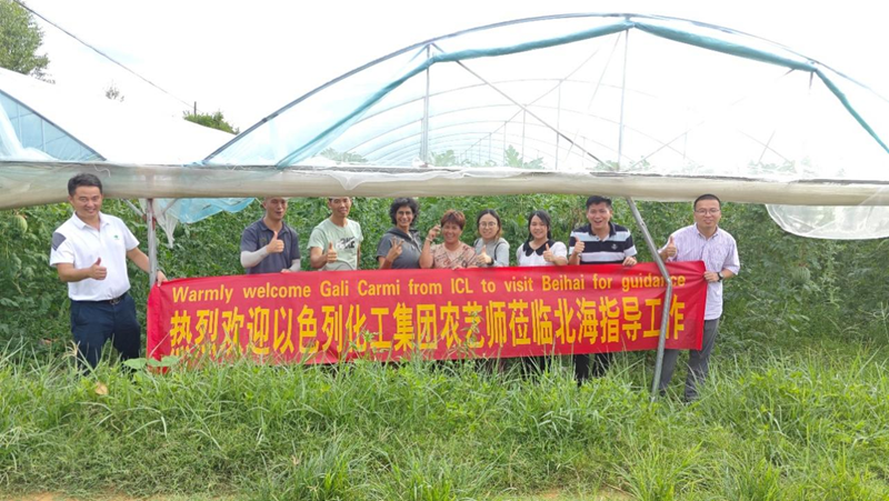 時令瓜果正當季 技術(shù)服務(wù)到田間——愛普科技攜手以色列農(nóng)藝師助力瓜農(nóng)穩(wěn)產(chǎn)增收